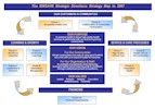 Cover image: Link to SWSAHS Strategic Directions Strategy Map