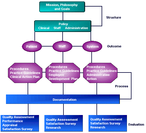 Divisional Quality Framework