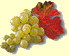 Grapevine