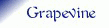 Grapevine