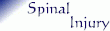 SpinalInjButton.gif (1845 bytes)