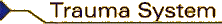 Trauma System